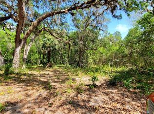 Double Run Rd, Astatula, FL 34705