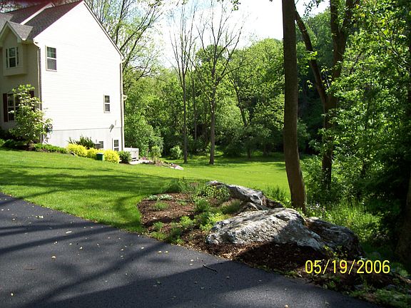 Yard View 2