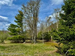 Tbd Park Road, Lexington, NY 12452