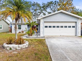 1916 Pepper Tree Dr, Oldsmar, FL 34677