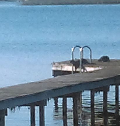 3rd image of 4109 Waterfront Pkwy
