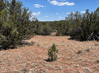 34260 W Avenida Risco, Seligman, AZ 86337