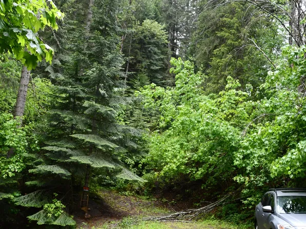 Nka Buena Vista Rd, Wallace, ID 83873