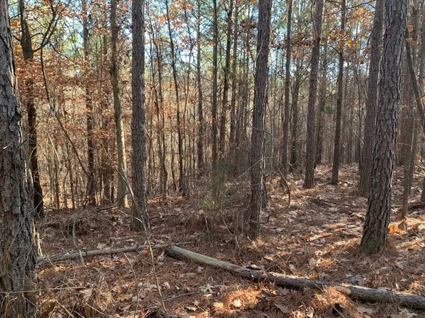 11 Warren Floyd Rd #11, Selmer, TN 38375
