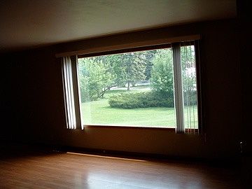 looking at front yard