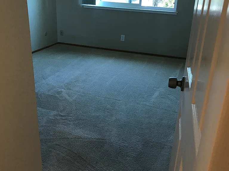 954 Palm Ave #3 — Photo 13