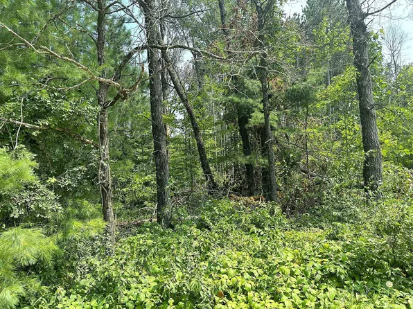 N1260 Big Sky Rd #53, Keshena, WI 54135