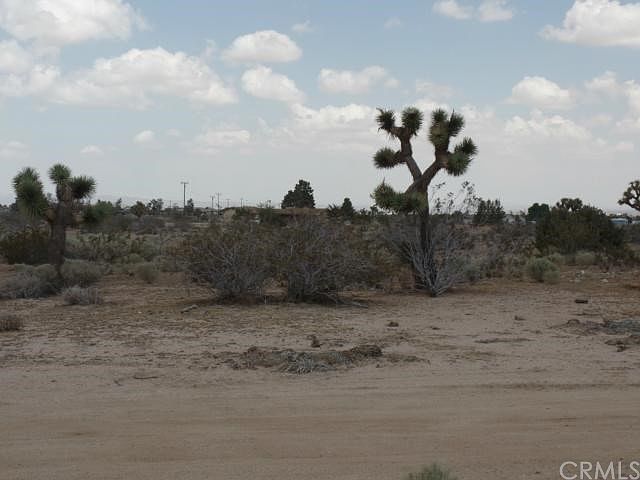 2nd image of 8828 Goss Rd