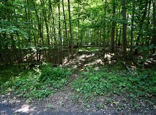 1 Chestnut St, Stanhope, NJ 07874