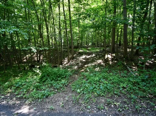 1 Chestnut St, Stanhope Boro, NJ 07874