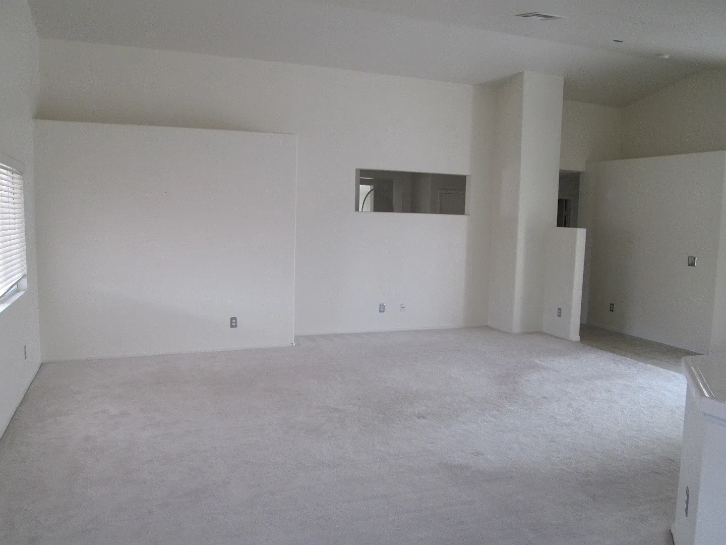 1018 Elliot Park Ave. — Photo 3