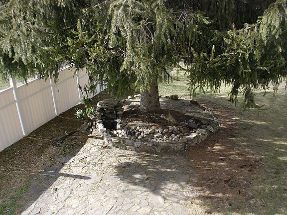 Tree and Rock garden