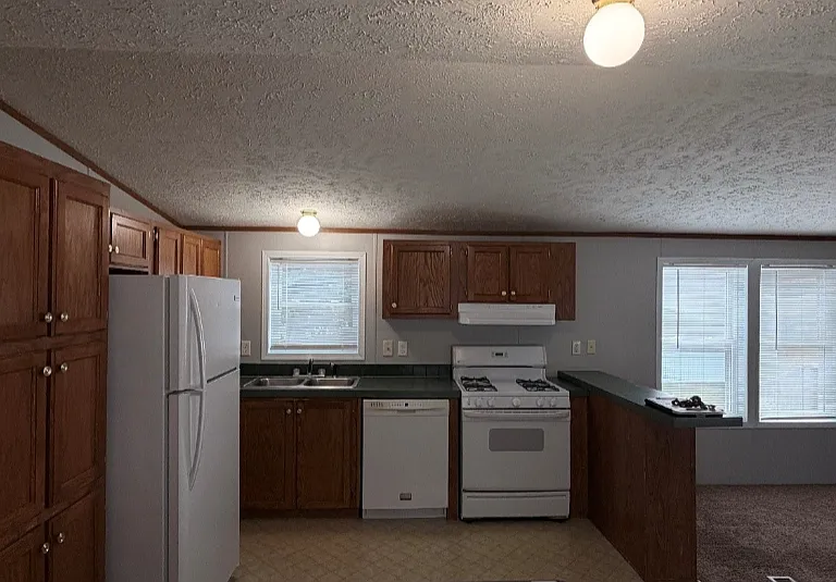 4310 Meadow Lane Dr #1180 — Photo 10