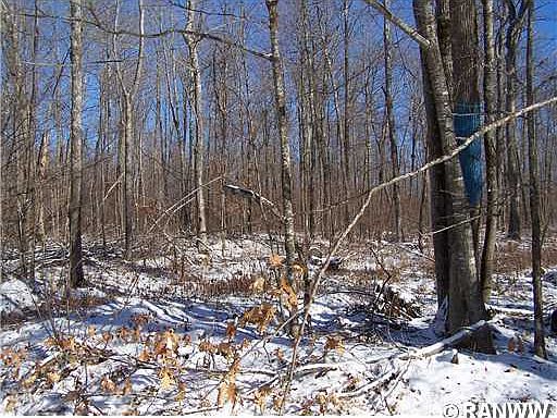 4th image of 10 A N Tower Road