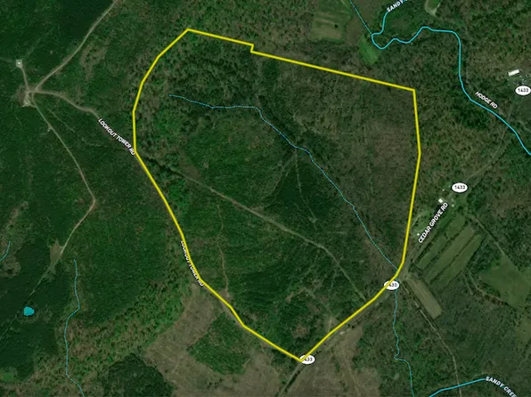 State Route 1433 Lot Wp002, Salem, KY 42078