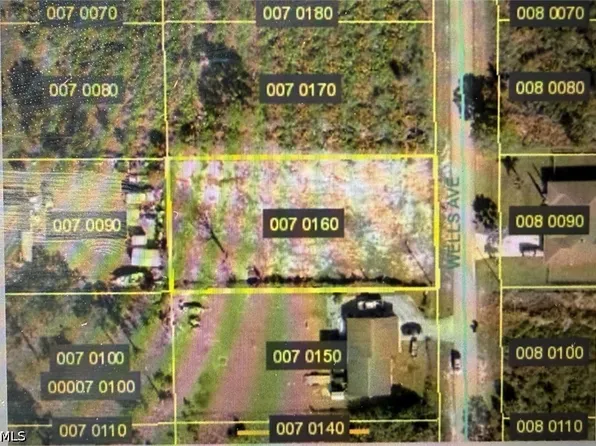 407 Wells Ave, Lehigh Acres, FL 33972