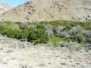 6799 E Fork Rd, Challis, ID 83227