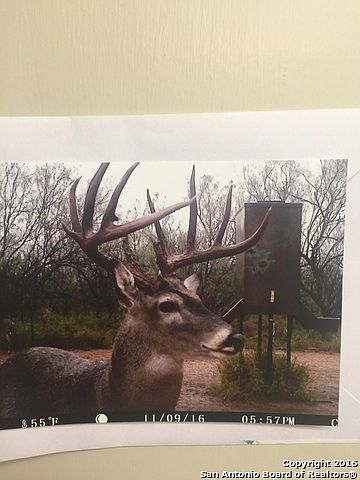 1st image of 8889 Highway 277