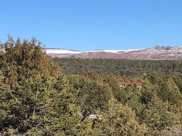 7.97 Acres Cres #300, Cebolla, NM 87518