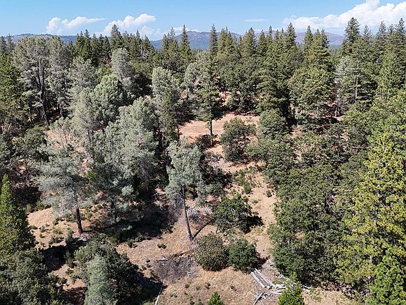 5th image of Grizzly Flat Rd