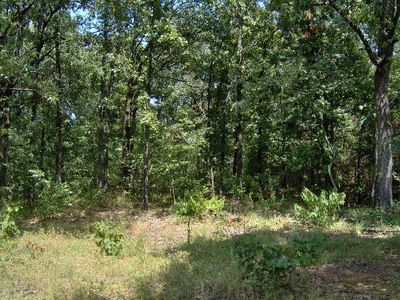 M/l, Paris, AR, 72855