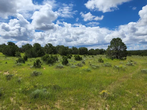 205 Vista Grande, Pie Town, NM 87827
