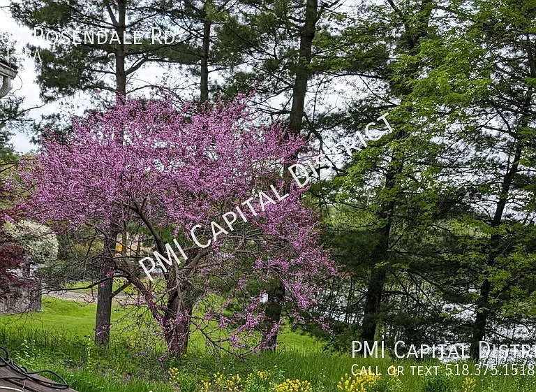 3407 Rosendale Rd — Photo 41