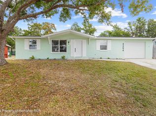 4254 Riviera Ct, Spring Hill, FL 34608