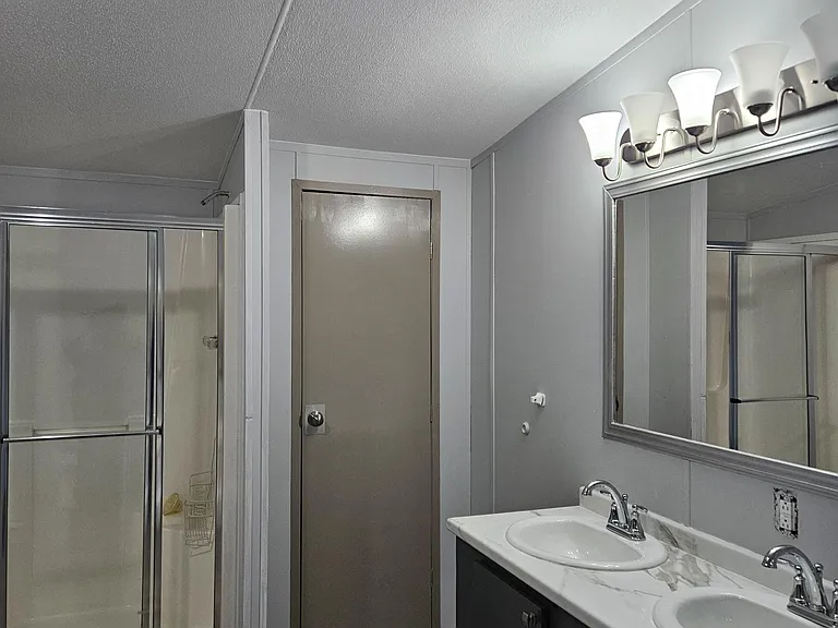 Master bath vanity and shower