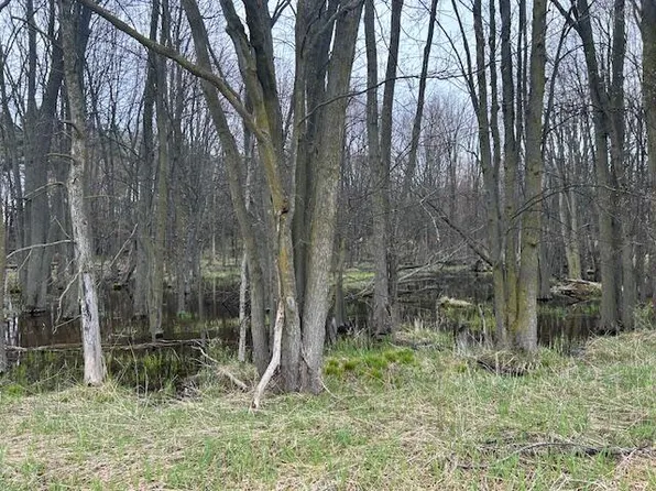 80th Ave, Mecosta, MI 49332