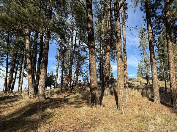 0 Adams Street, Republic, WA 99166