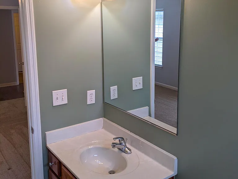 master bathroom - upgraded lighting fixture & paint