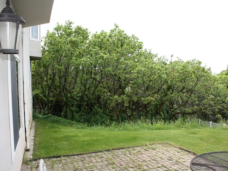 2962 Oakwood Dr — Photo 42