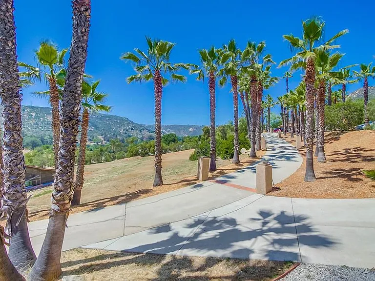 11381 Reidy Canyon Pl — Photo 26