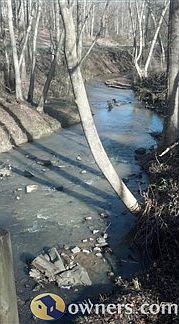 Stream View
