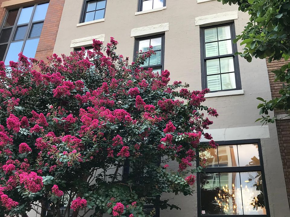 Private boutique 4-unit historic building