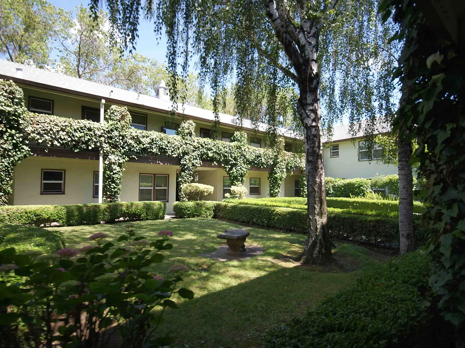 Courtyard at Pacific — Photo 3