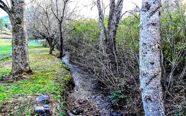2nd image of 00 Puett Cove Rd