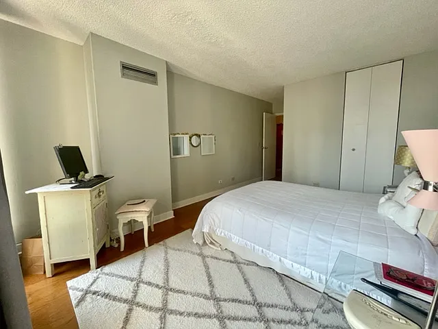 200 N Dearborn St #3005 — Photo 12