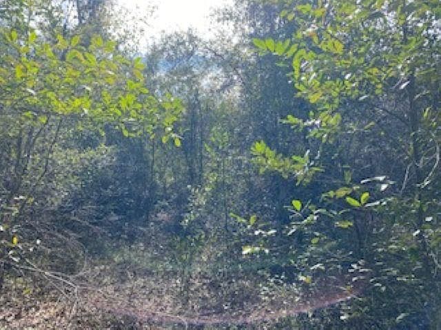 2nd image of 2619 Oak Ridge Rd W