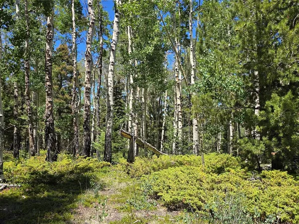 Lot 6748 Starkweather Road, San Luis, CO 81152