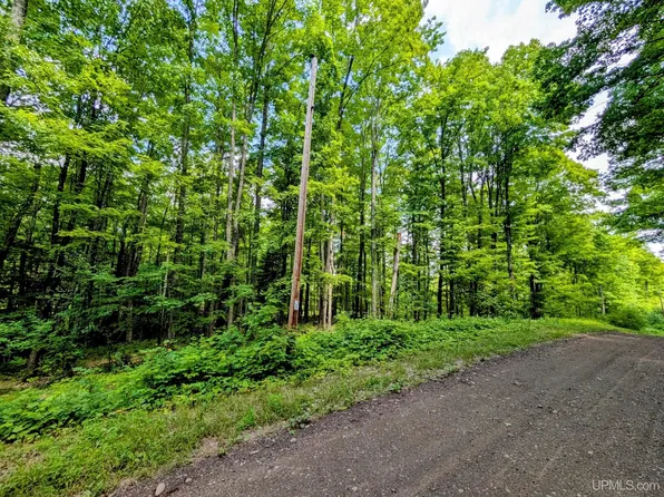 Fettig Rd, Iron River, MI 49935