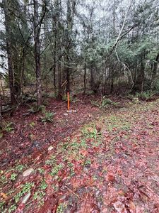 0 XXX Mountain Trail, Brinnon, WA, 98320