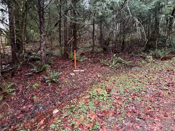 0 XXX Mountain Trail, Brinnon, WA 98320