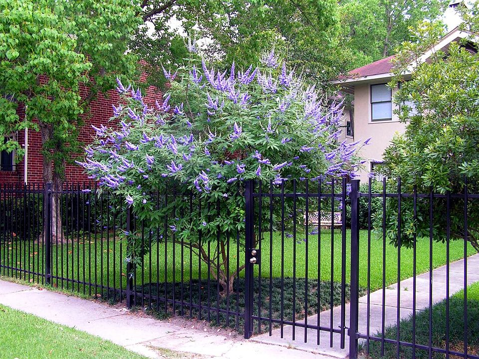 Front gate