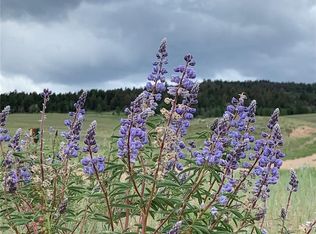 11510 Ranch Road FILING 14 LOT 1021, Hartsel, CO 80449