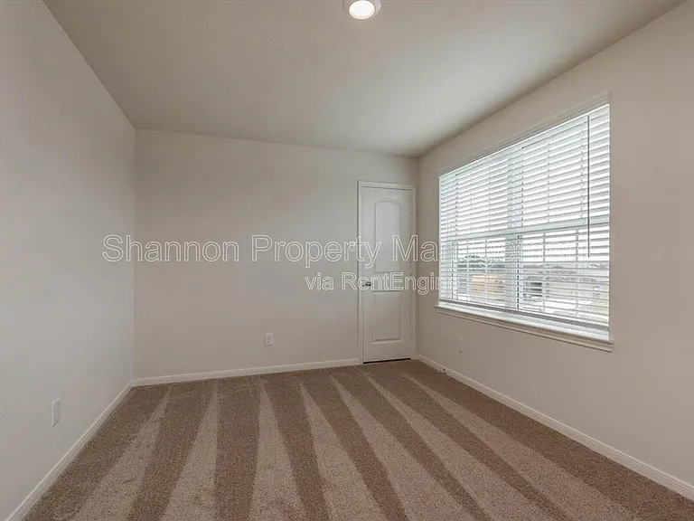 20722 Nala Bear Dr — Photo 13