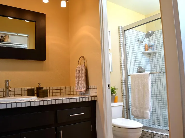 Master bathroom