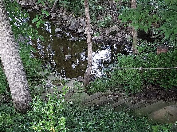 Stairs to creek