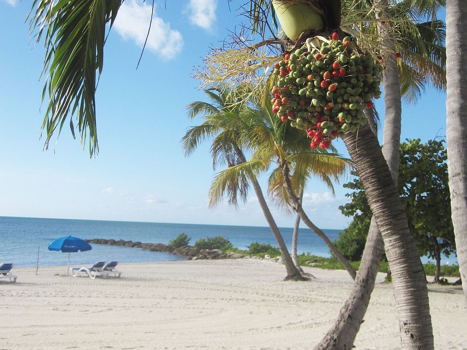 Key West ..Need we say more?